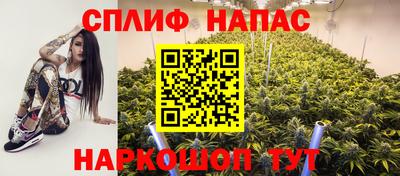 Альфа ПВП Гудермес