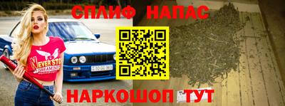 Альфа ПВП Гудермес